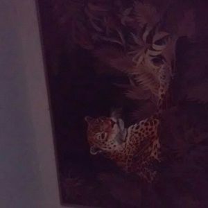 Meet your Posher, Rhonda