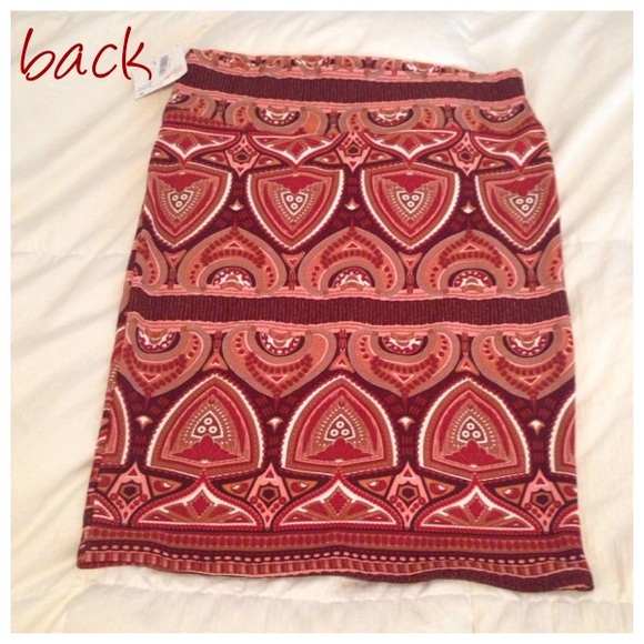 Beautiful NWT Cassie skirt - Picture 2 of 4