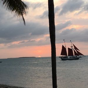 Meet your Posher, Agnes