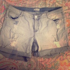 Lane Bryant shorts