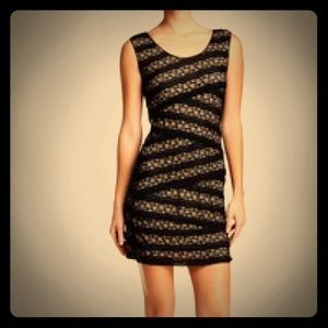 Max Studio Black Lace Nude Overlay Dress