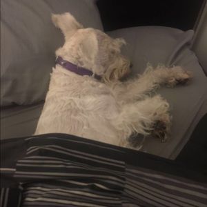 Meet your Posher, Isamar