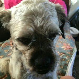 Meet your Posher, Billie