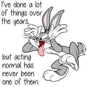 Meet your Posher, Beverly