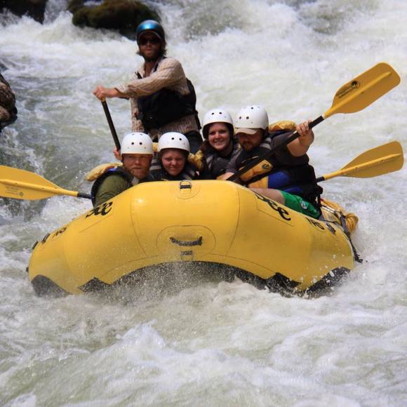 Meet your Posher, Holly