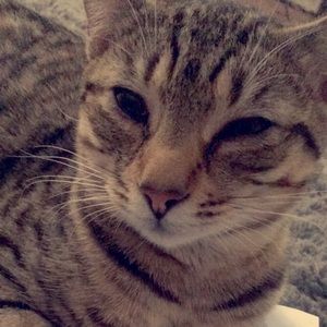 Meet your Posher, Bill