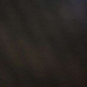 Meet your Posher, Lynette