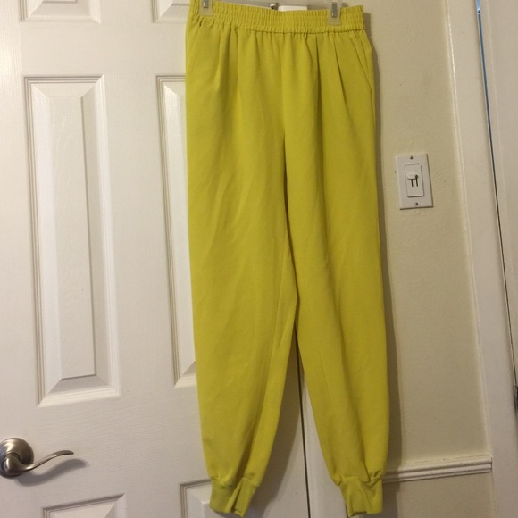 Joie jogger pants