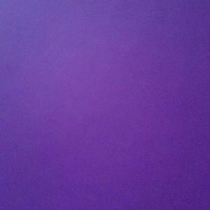 Meet your Posher, Dynesha