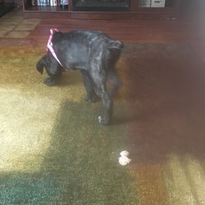 Meet your Posher, April