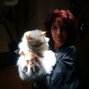 Meet your Posher, Morgan