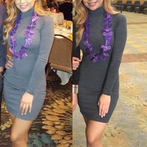 Grey Long Sleeve/Turtle neck dress👗
