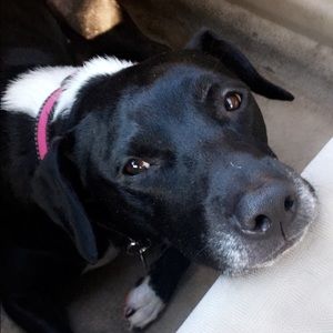 Meet your Posher, Min