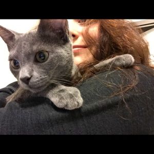 Meet your Posher, Samantha