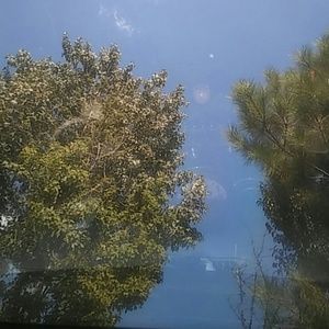 Meet your Posher, Sequoia