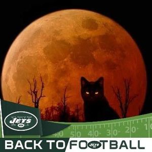 Meet your Posher, Cynthia