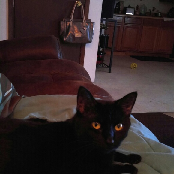 Meet your Posher, Melissa - Picture 1 of 1