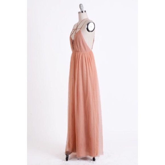 Ginger Pink Caged Maxi - Picture 2 of 4
