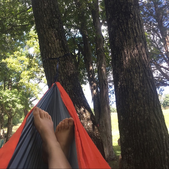 Meet your Posher, Lilli - Picture 1 of 1