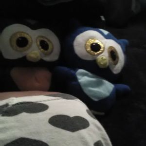 Meet your Posher, Joanne