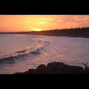 Meet your Posher, Camille