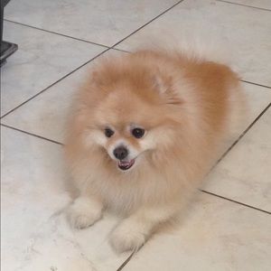 Meet your Posher, Maribel