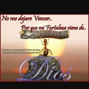 Meet your Posher, Ada