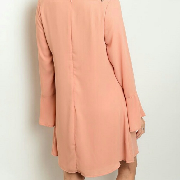 Blush shift dress - Picture 2 of 2