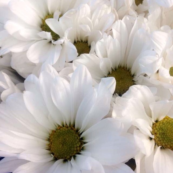 Meet your Posher, Mahlia