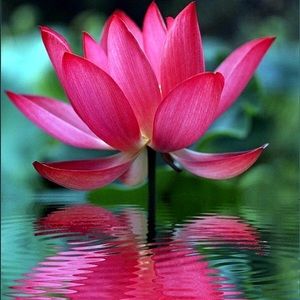 Meet your Posher, Ebeleny