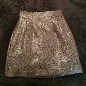 Silver skirt