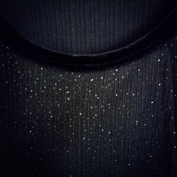 Shimmery Velvet  Trimmed Top - Picture 3 of 3