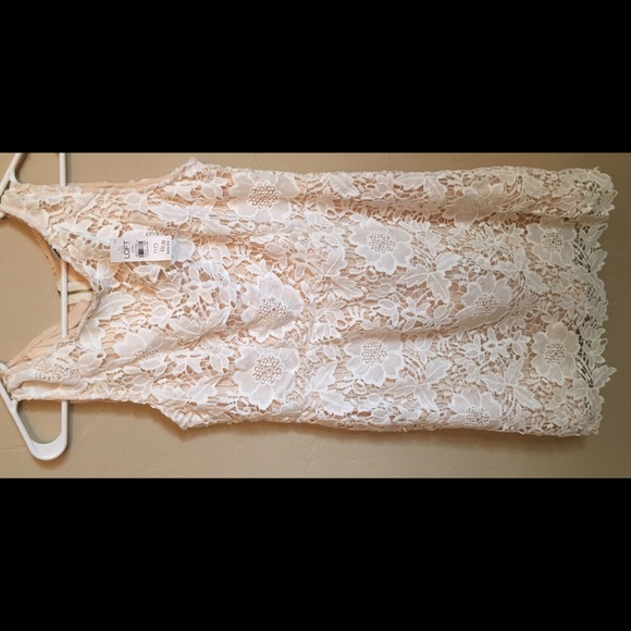 Loft Lace Dress-Size 8P - Picture 2 of 2
