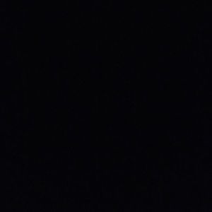 Meet your Posher, Riley