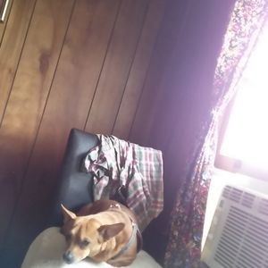 Meet your Posher, Pat