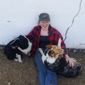 Meet your Posher, Royce