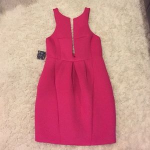 NWT Nasty Gal Hot Pink Plunge Dress