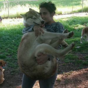 Meet your Posher, Bekah