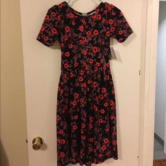 Beautiful XS Lularoe Amelia