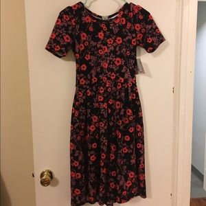 Beautiful XS Lularoe Amelia