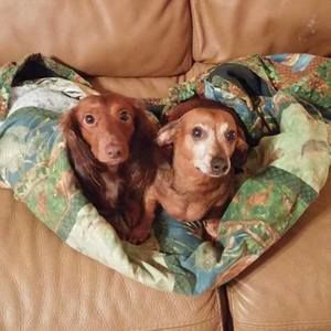 Meet your Posher, Dana