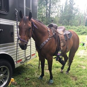 Meet your Posher, Isabella