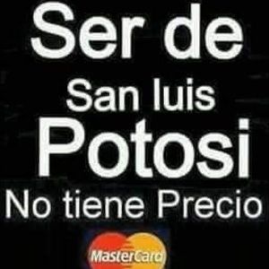 Meet your Posher, Marco