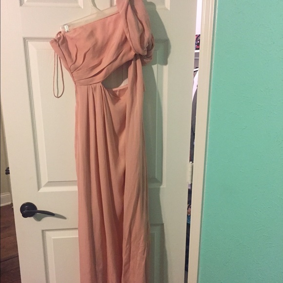 Halston Heritage Floor Length Dress (light pink)