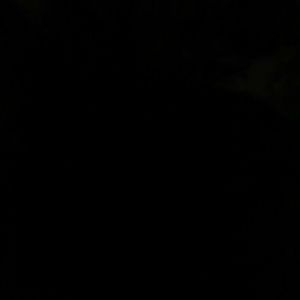 Meet your Posher, Jade