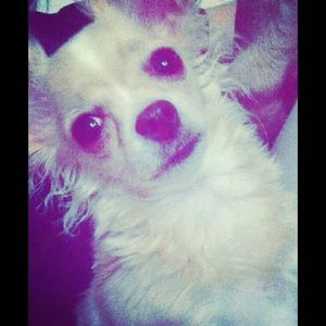 Meet your Posher, Carlos