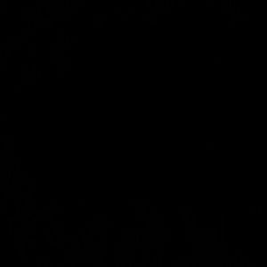 Meet your Posher, Isaiah