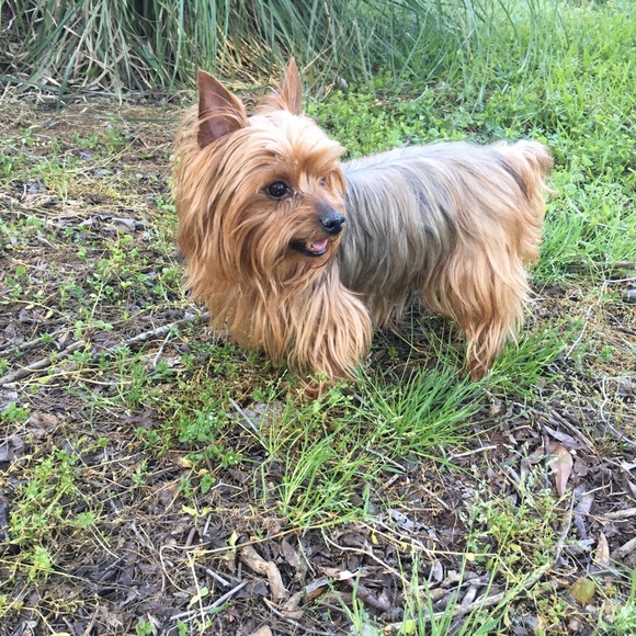 Meet your Posher, Glenda - Picture 1 of 1