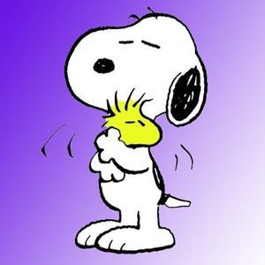 Meet your Posher, Dena