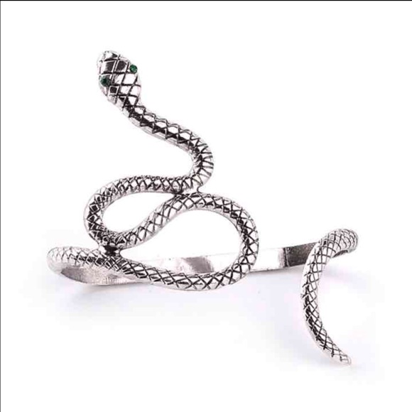 Unique Snake Palm Bangle Accessory